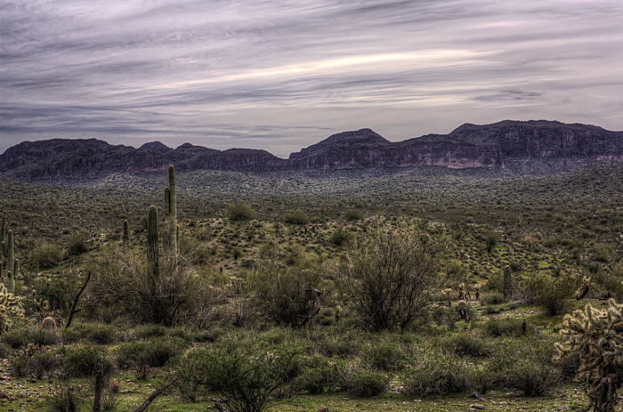 2010-02-27-SanTans-Cliffs-Desert-Cactus-IMG_1251