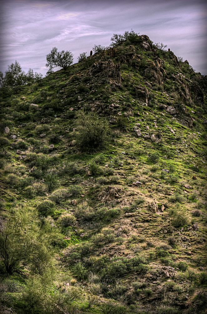 2010-02-27-SanTans-Peak-Cactus-Clouds-Arizona-Desert-IMG_1267