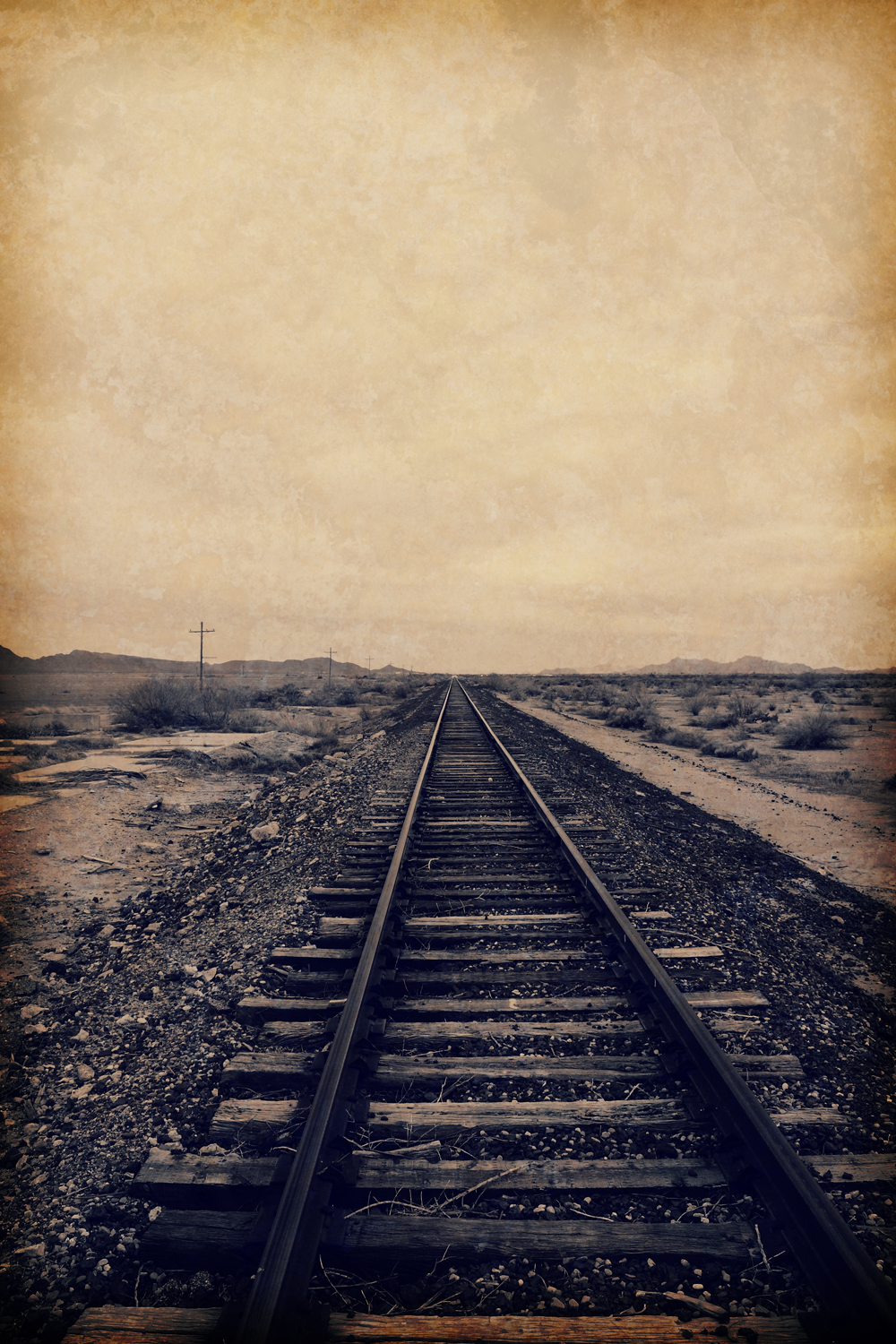 20100226_0012