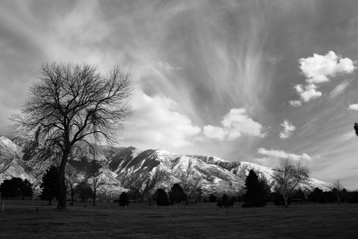 20100310_001_700