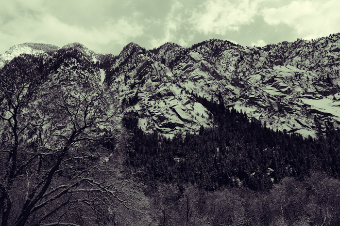 20100310_005_700