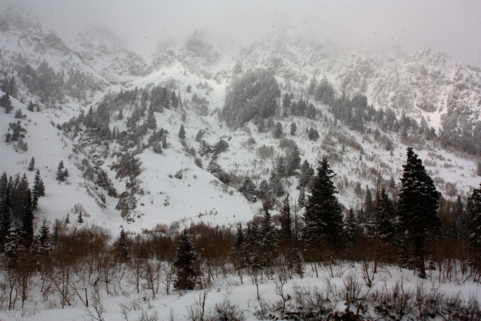 20100310_009_700