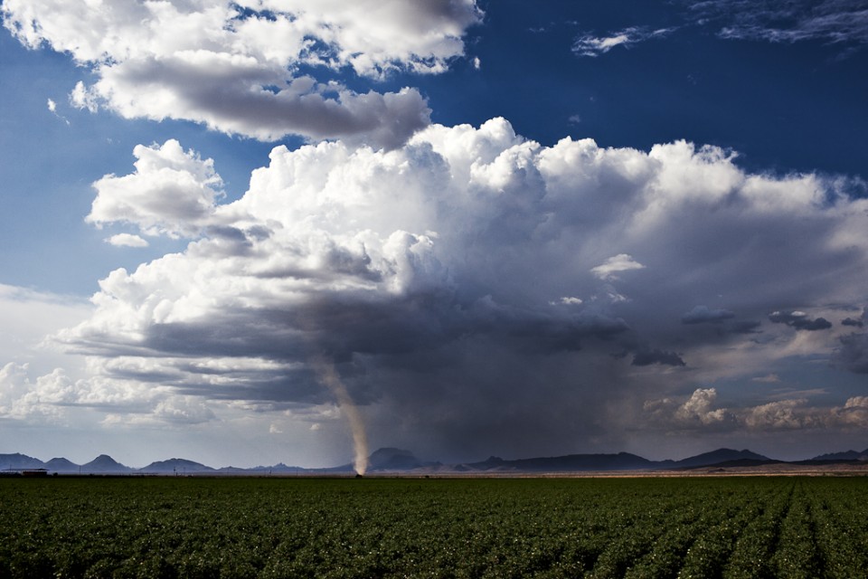 The Arizona Twister or Dust Devil