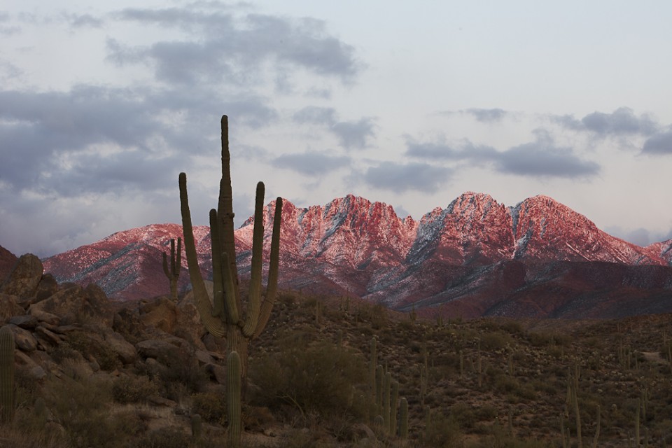 Evening at Four Peaks