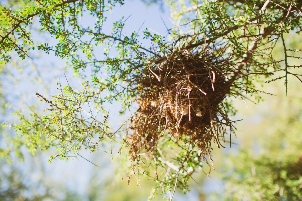 2013_ChristieSimon_1350