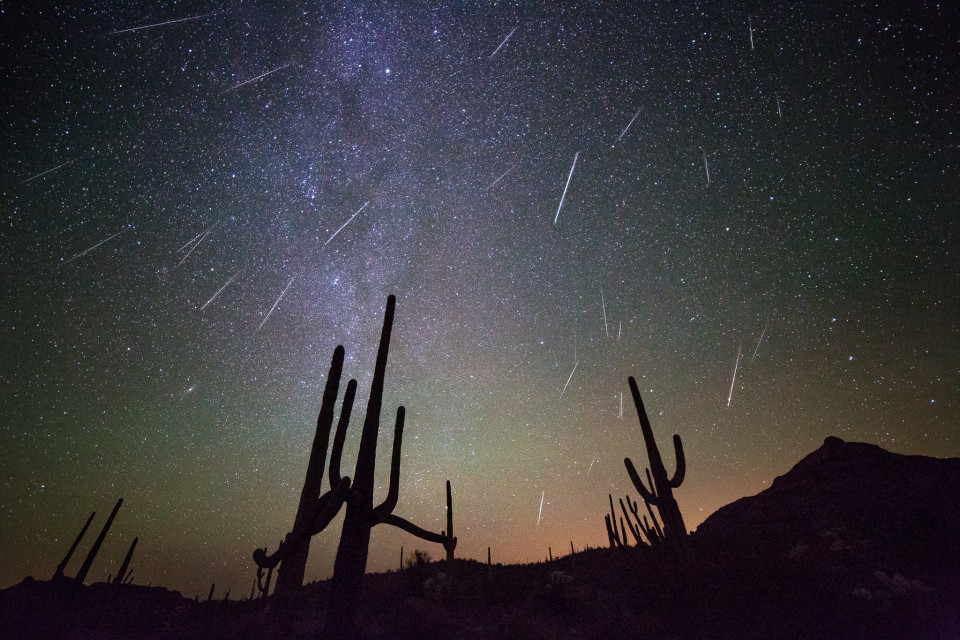 A few days ago I decided to get some buddies together to go shoot the Geminid Meteors for the peak of the shower Sunday into Monday. We met up in Organ Pipe in far southern Arizona and enjoyed some dark skies and one of the most active meteor showers I've ever seen! Got home and took this morning to put this image together...it's a stack/blend of about 25 meteors put into one photo. This is part of a time-lapse sequence as well, shot at f/2.8, 20 seconds and ISO 5000.