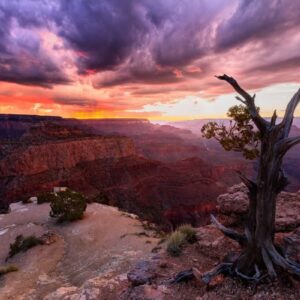 Timelapse Photography
