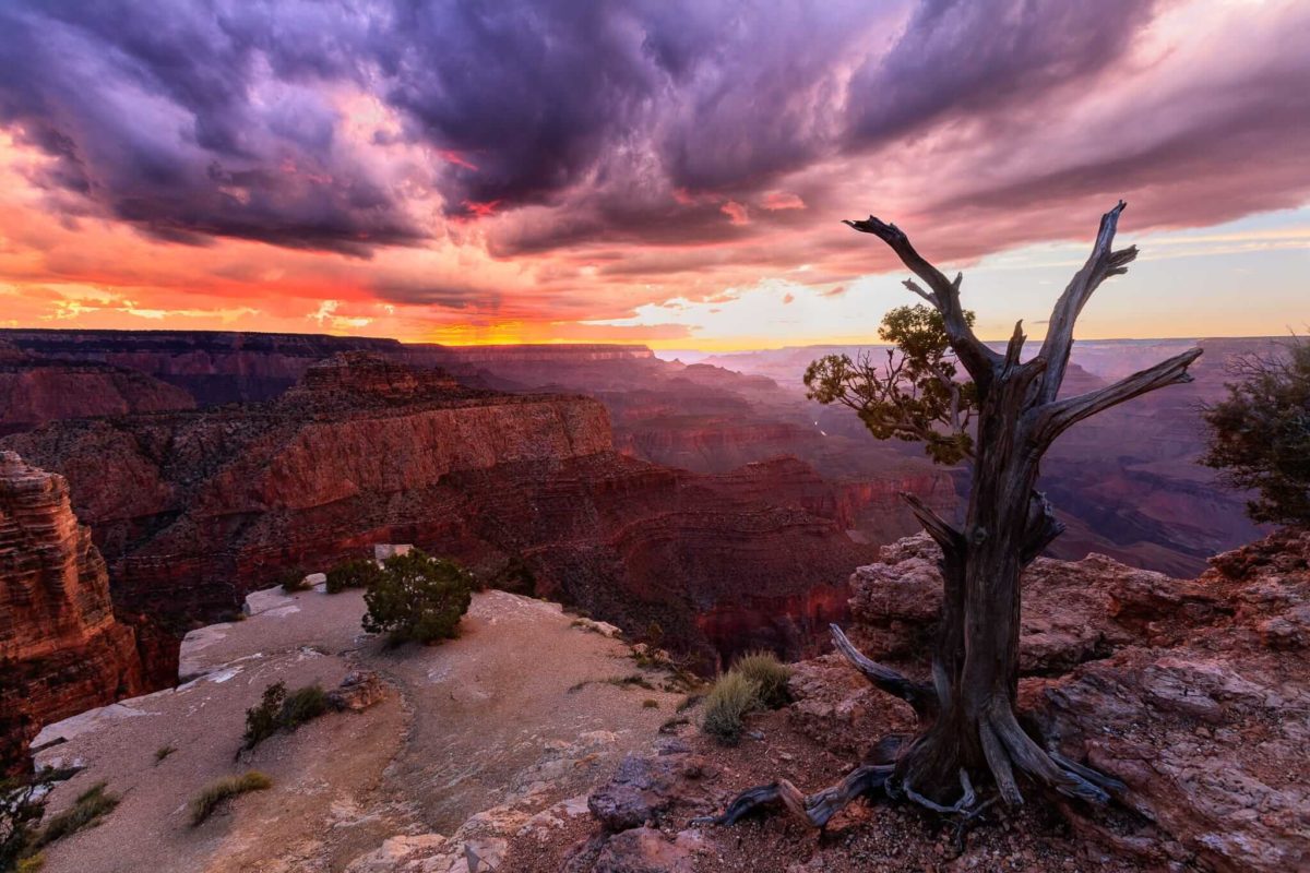 Timelapse Photography