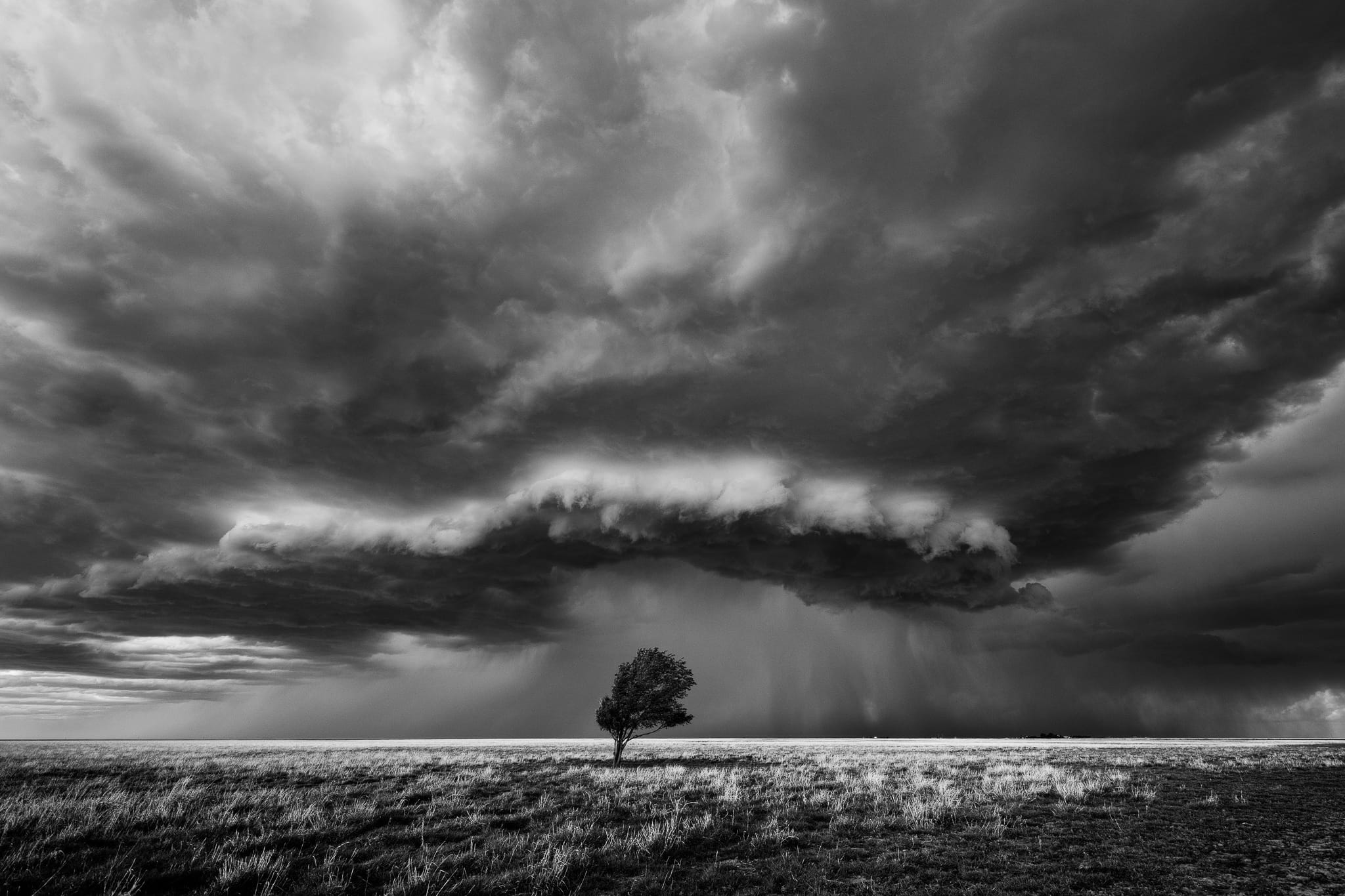 Timelapse Photographers